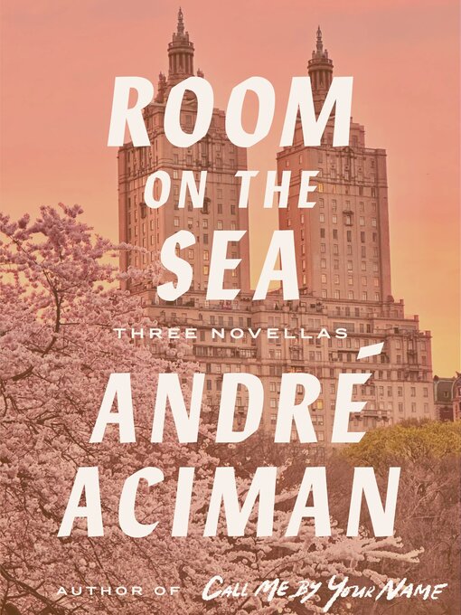 Title details for Room on the Sea by André Aciman - Available